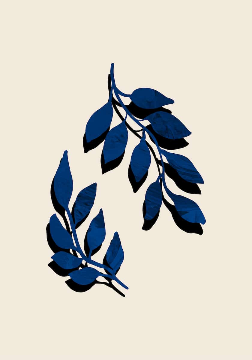 motive-image