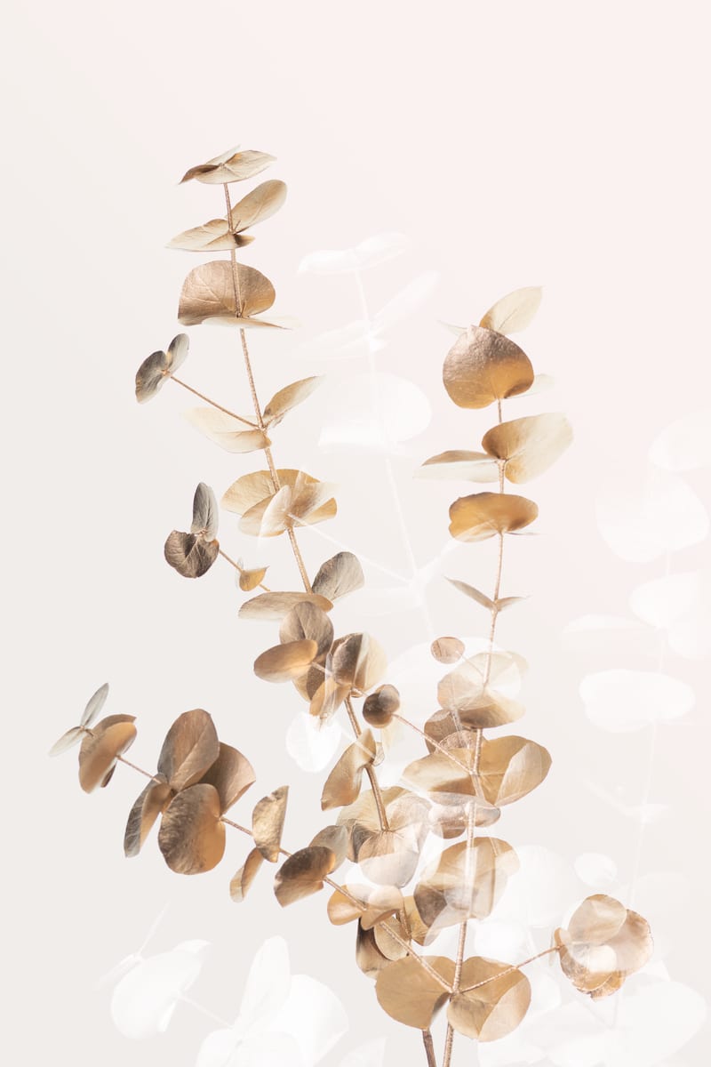 motive-image