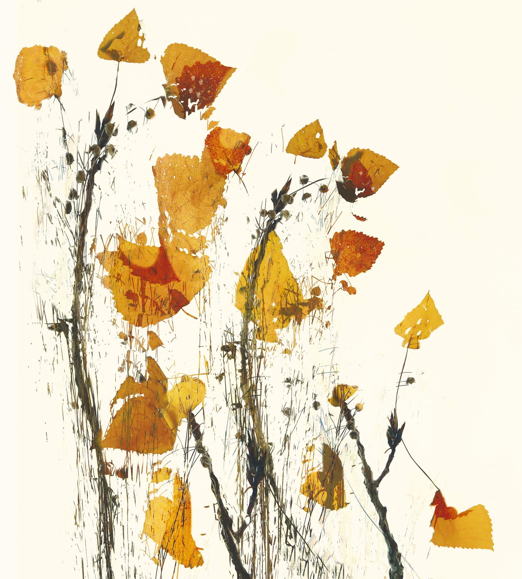 motive-image