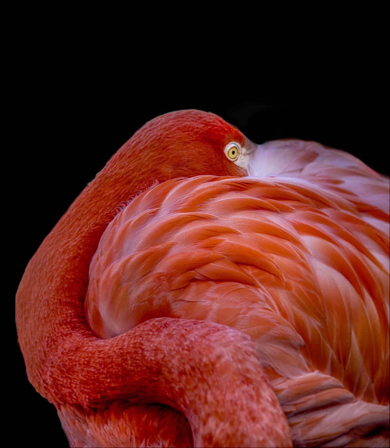 Motive Image