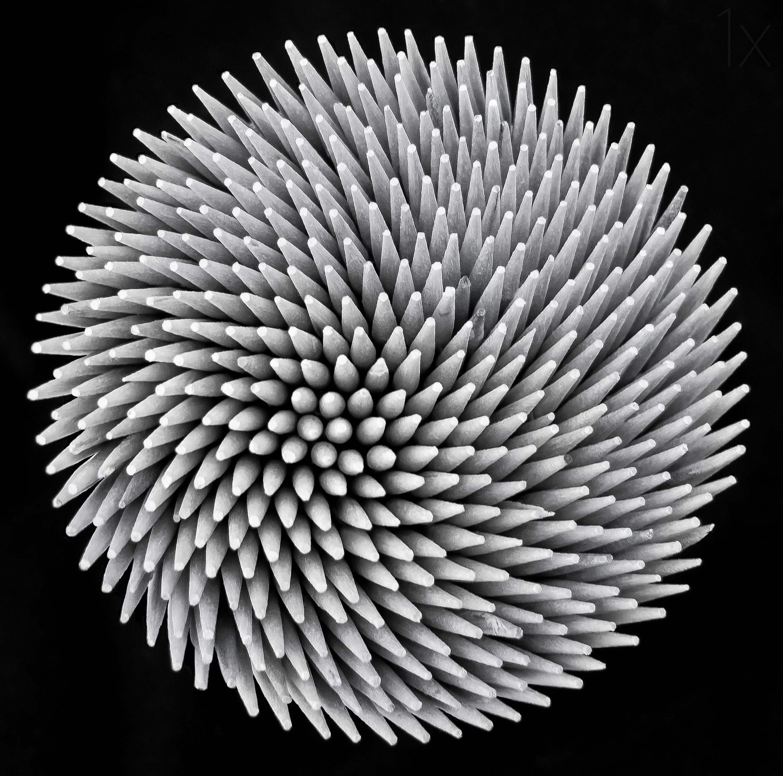 Motive Image