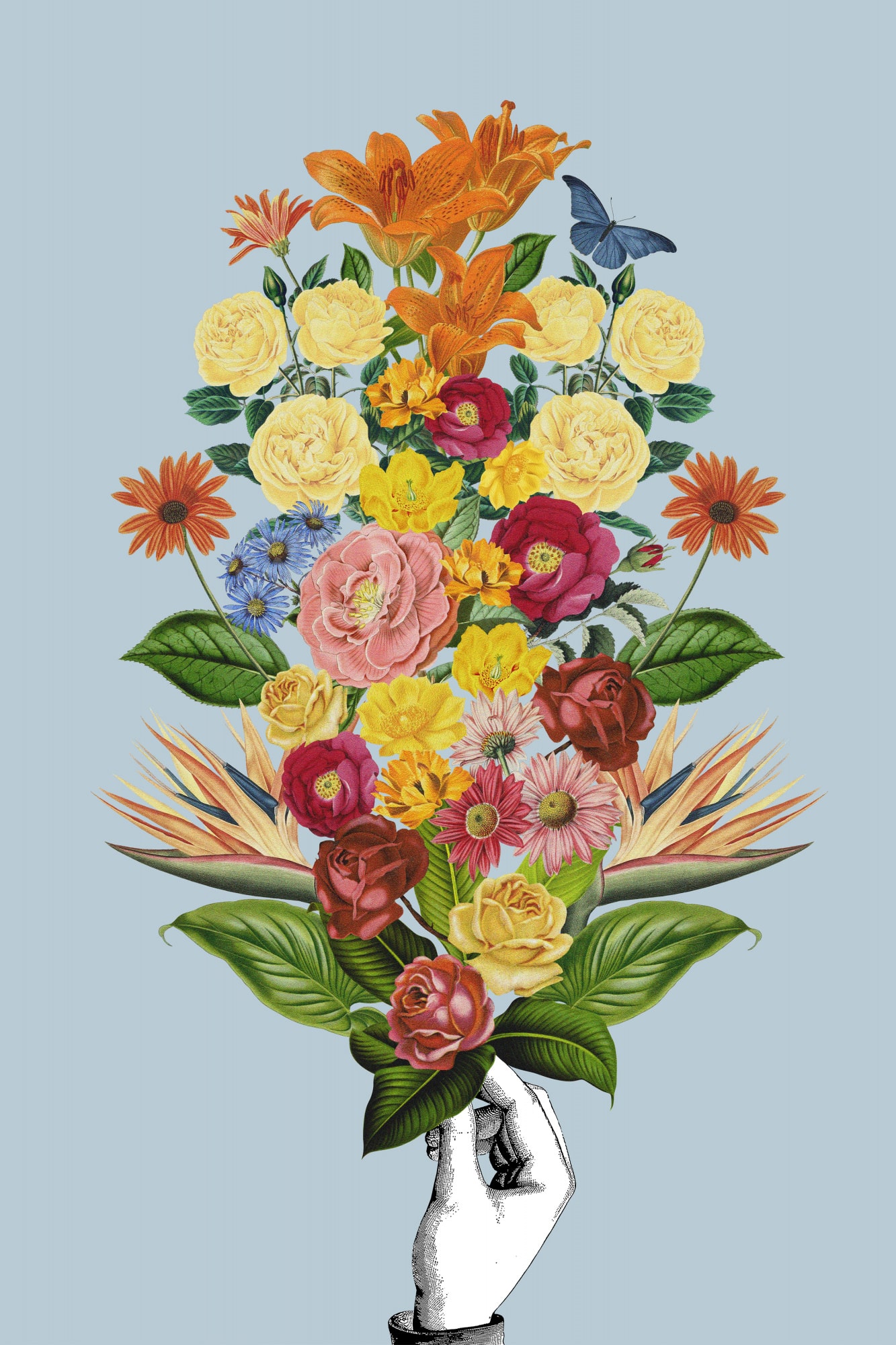 motive-image