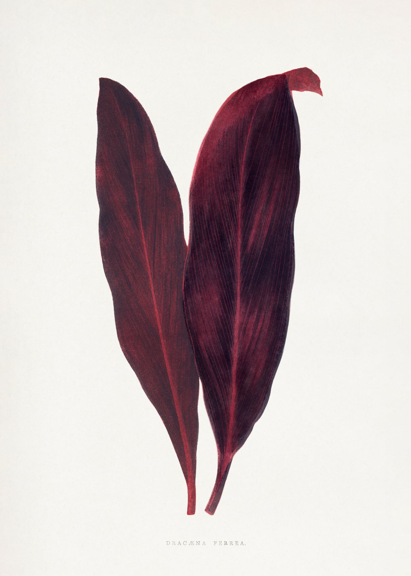 motive-image