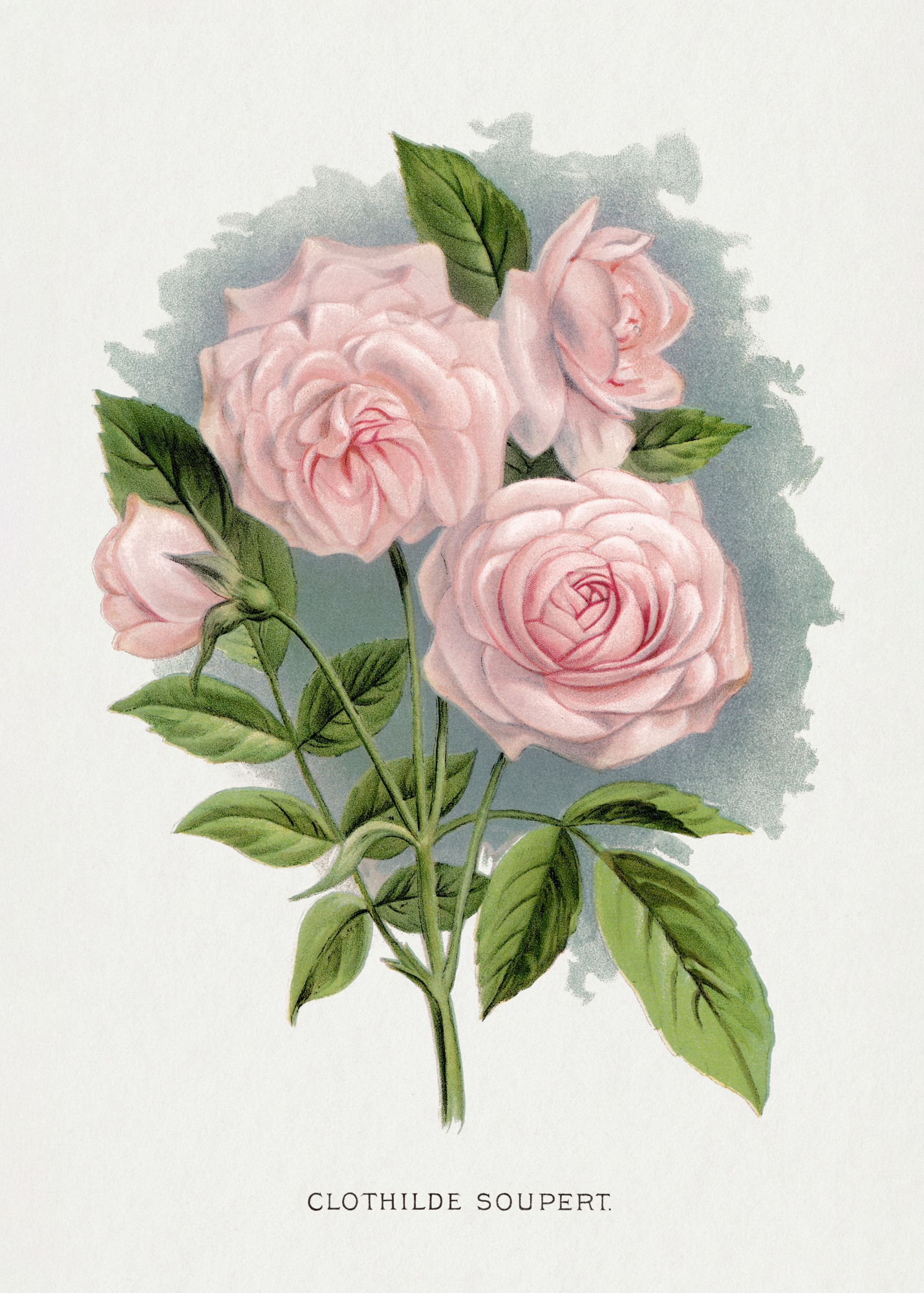 motive-image