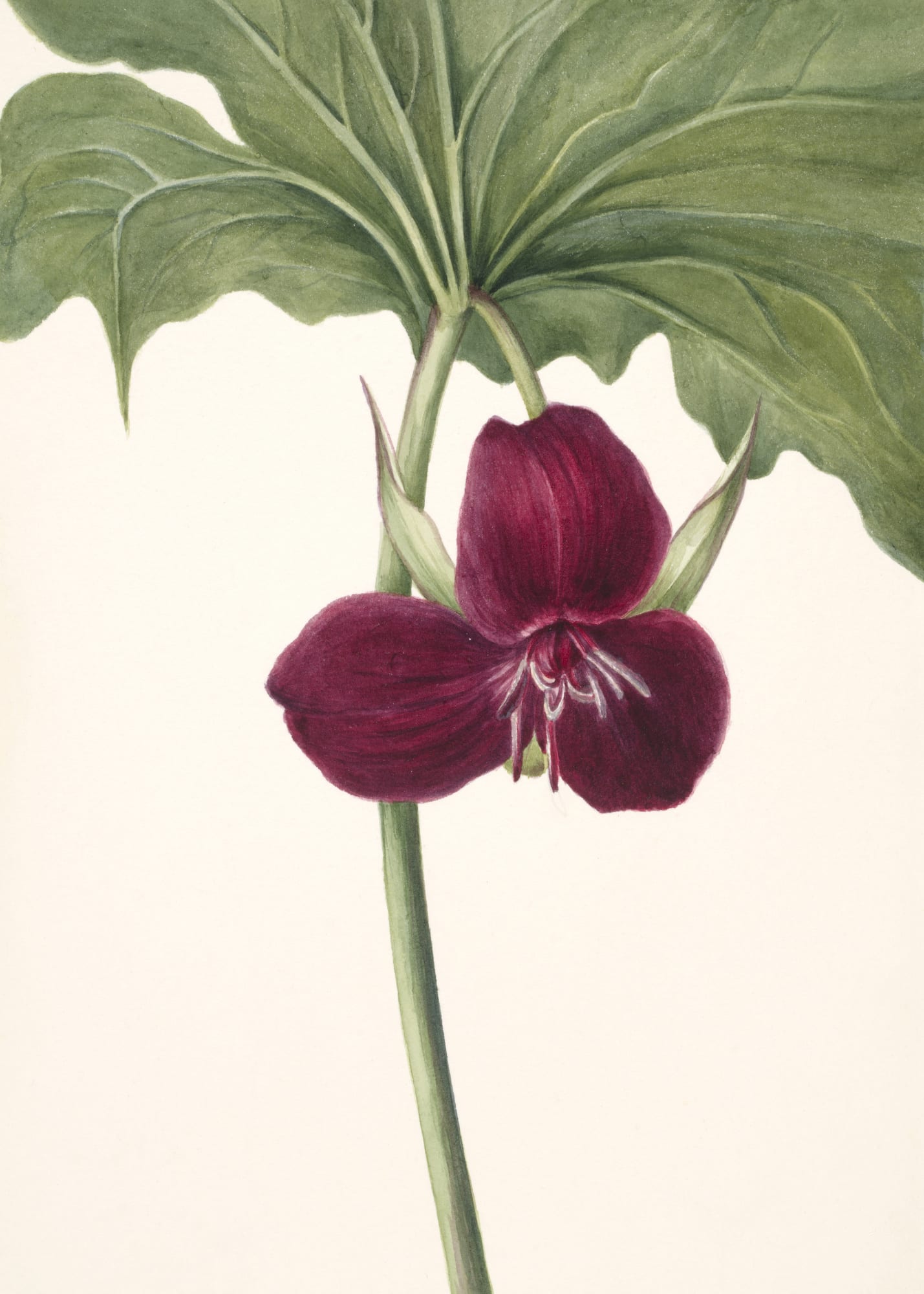 motive-image