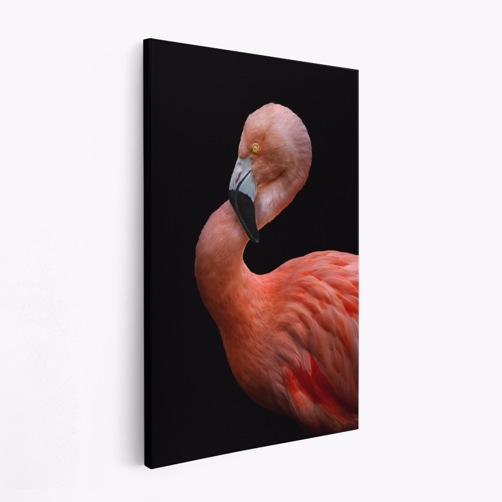 Obraz na płótnie - Flamingo's Poise