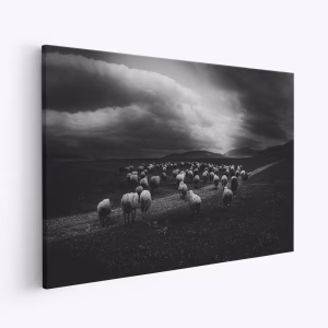 Obraz na płótnie - Storm's Advance