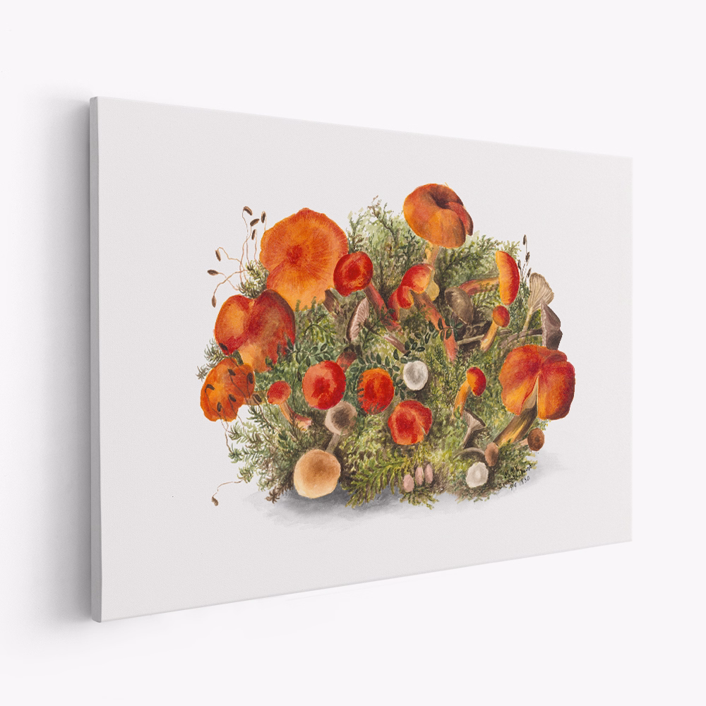 Obraz na płótnie - Study of Mushrooms (1880) Horizontal