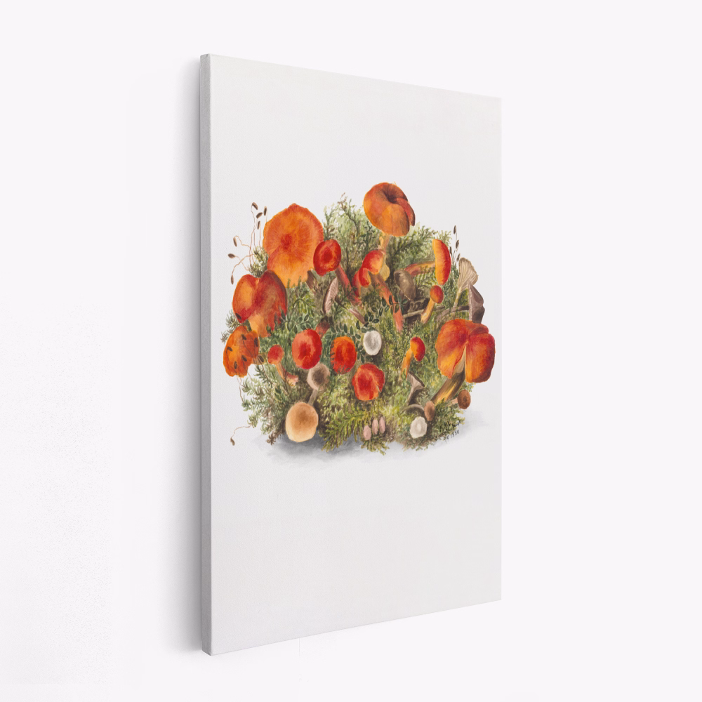 Obraz na płótnie - Study of Mushrooms (1880) Portrait Mode