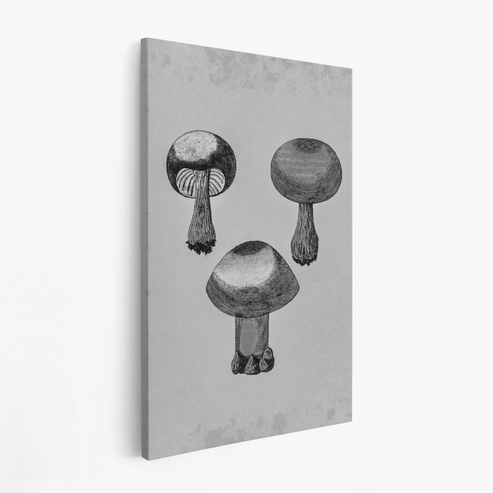 Obraz na płótnie - Violet Webcap Mushroom