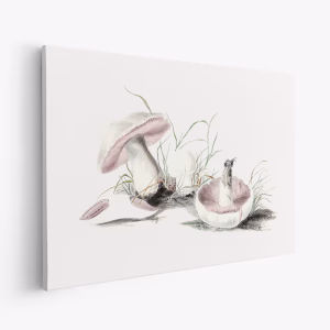 Obraz na płótnie - Hand Drawn Field Mushroom