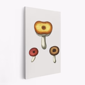 Obraz na płótnie - Hand Drawn Galerina Mushroom
