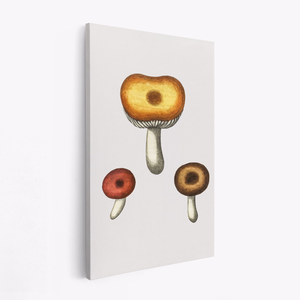 Obraz na płótnie - Hand Drawn Galerina Mushroom